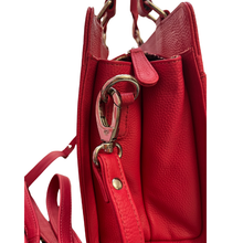 Load image into Gallery viewer, Ara